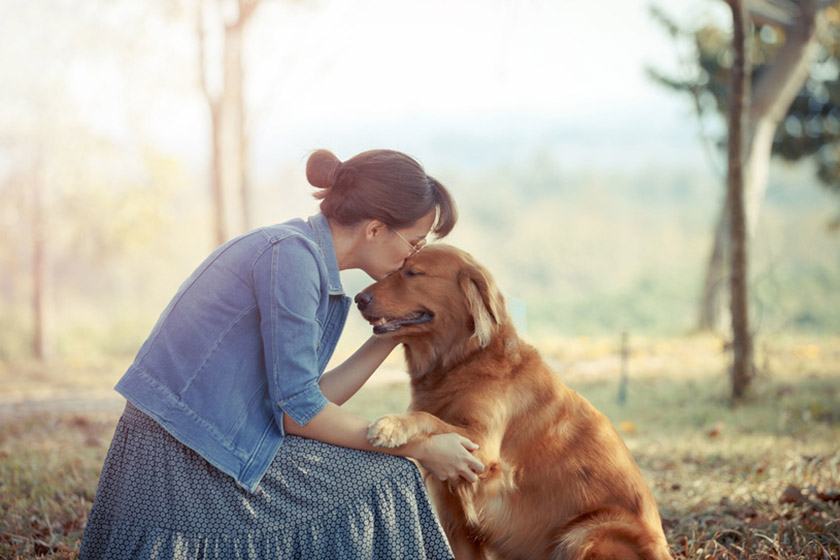 IntiNetwork-perro-animales-mascota