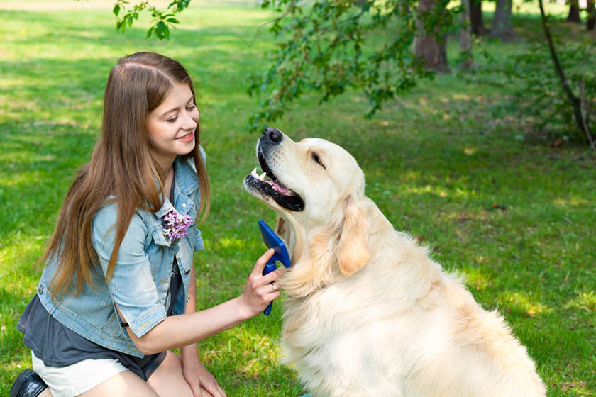 12 Consejos Básicos Que Debes Tener En Cuenta Para Cuidar A Tu Mascota