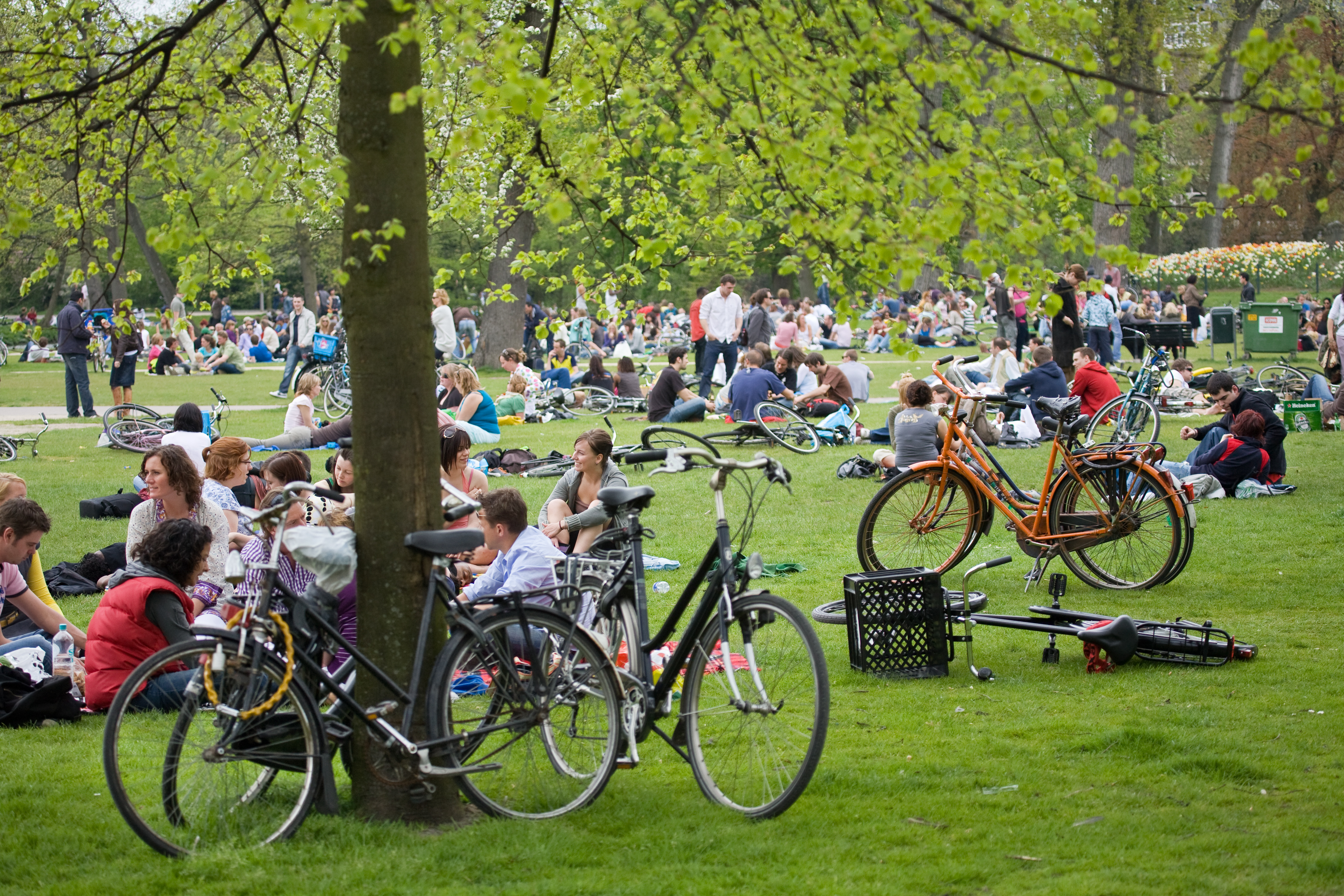 Amsterdam_-_Vondelpark_-_1496