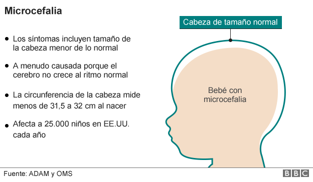 zikagrafico5