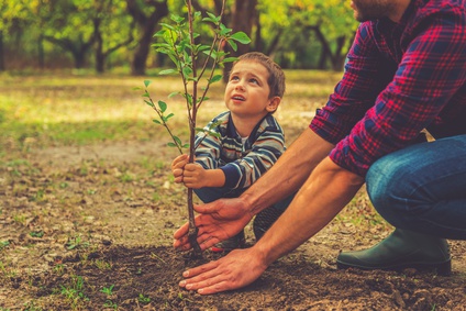 When will it grow? Curious little boy helping his father to plant the tree while working together in the garden