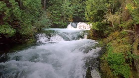 El agua, la continuidad de la vida