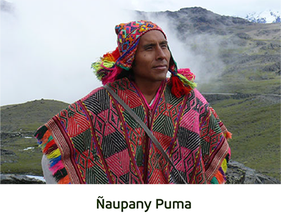 ÑAUPANY PUMA