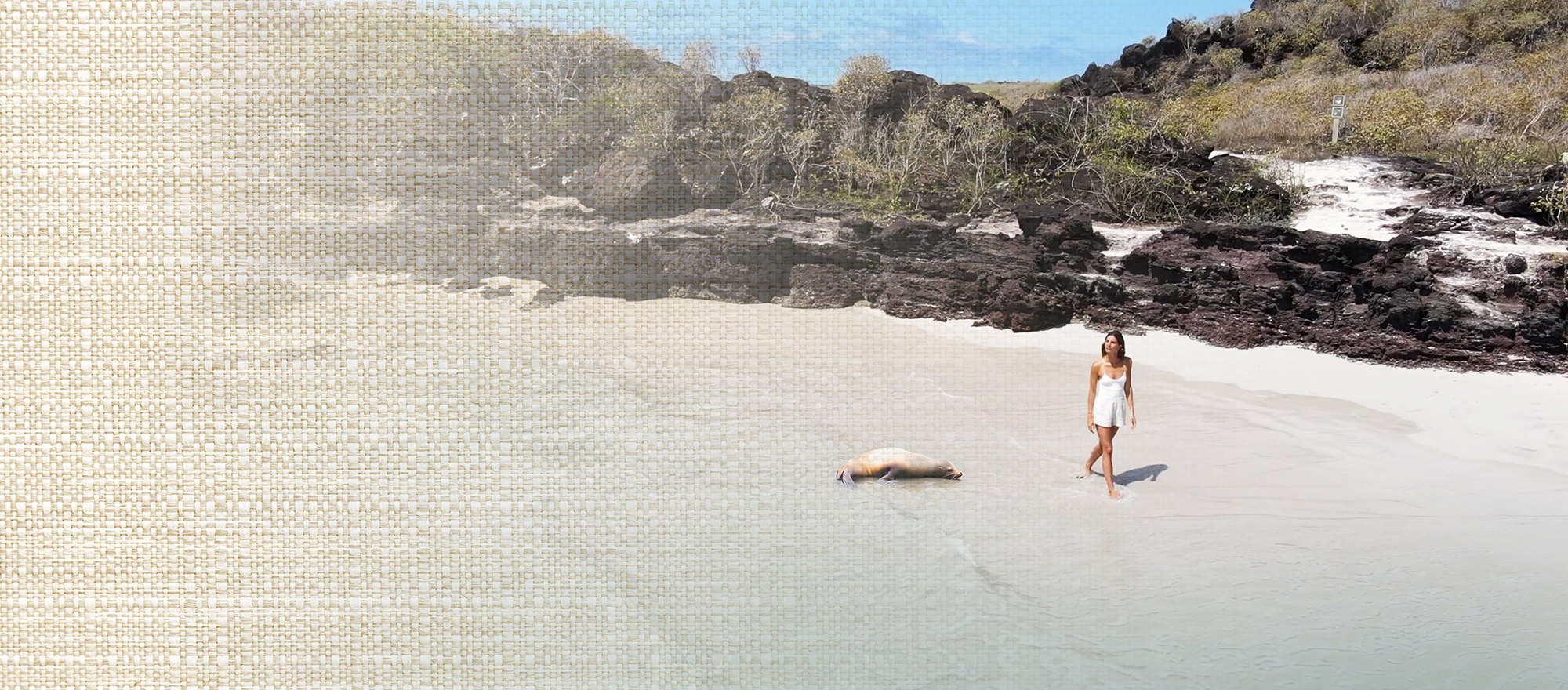 FOTO-HEADER-WEB-INTI-VIVE-SIMPLE-EDICION-GALAPAGOS-2000X880