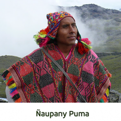 ÑAUPANY PUMA
