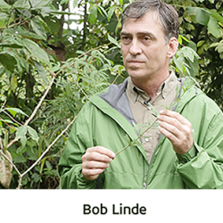 BOB LINDE